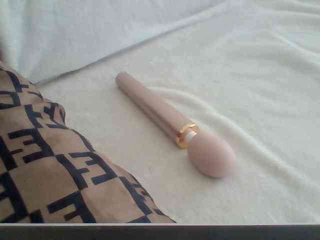 Dollie webcam