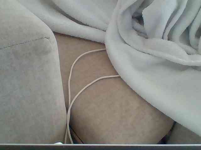 Dollie webcam