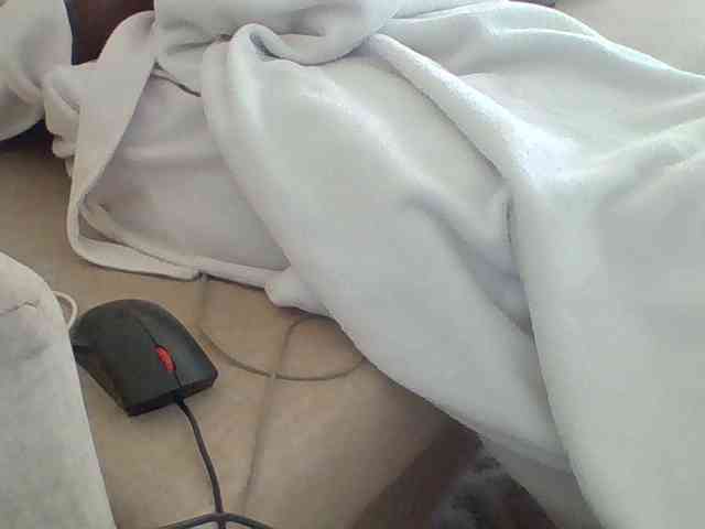 Dollie webcam