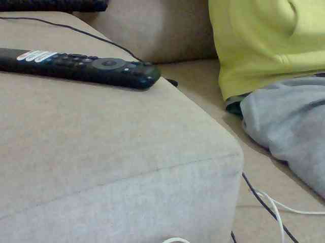 Dollie webcam