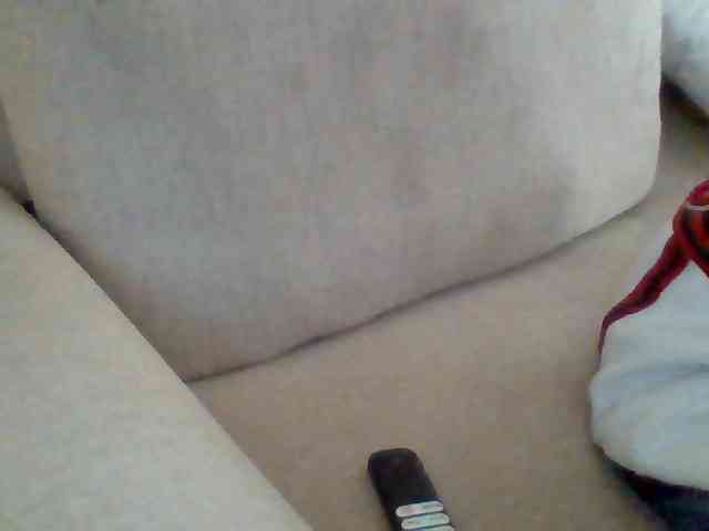 Dollie webcam