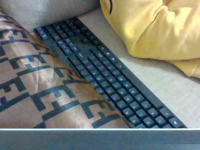 Dollie webcam