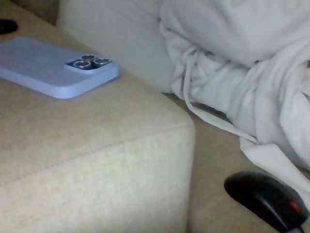 Dollie webcam