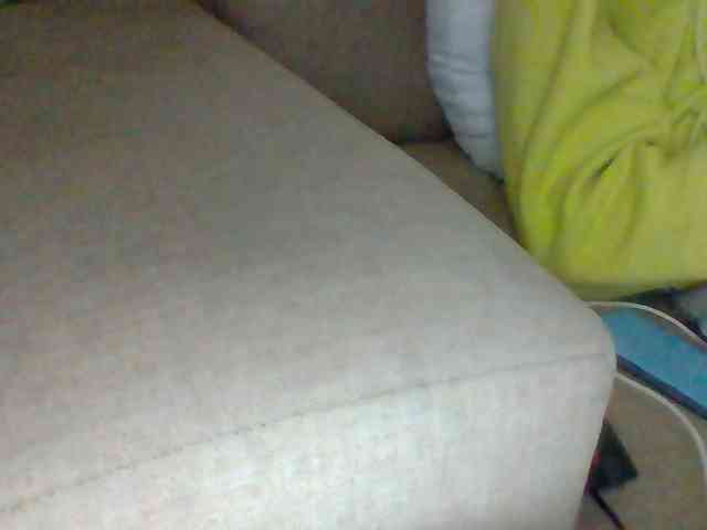 Dollie webcam