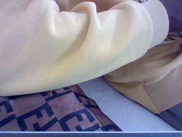 Dollie webcam