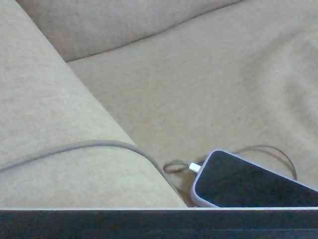 Dollie webcam