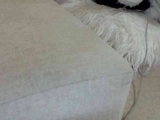 Dollie webcam