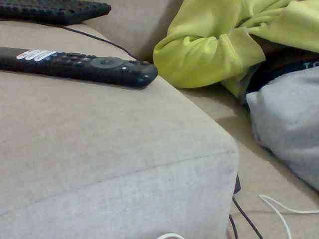 Dollie webcam
