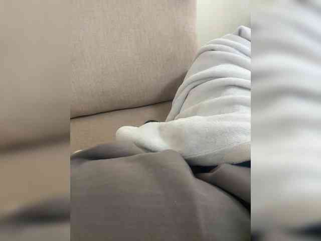 Dollie webcam