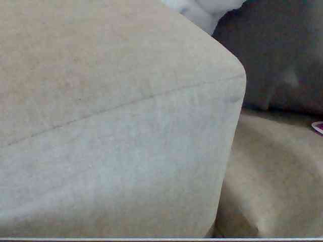 Dollie webcam