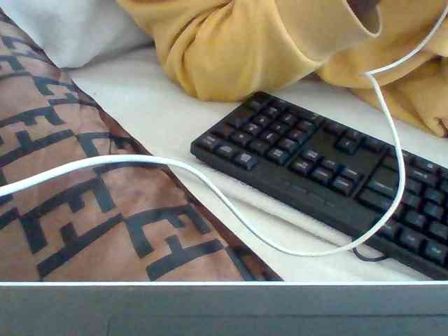 Dollie webcam
