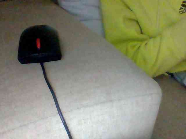 Dollie webcam