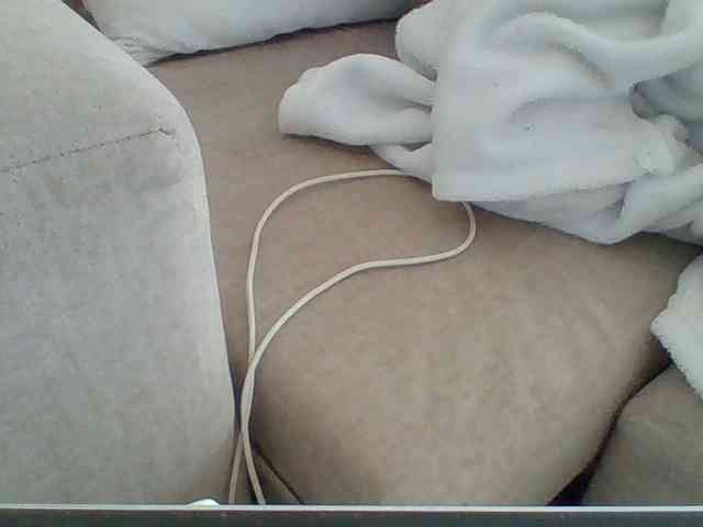 Dollie webcam