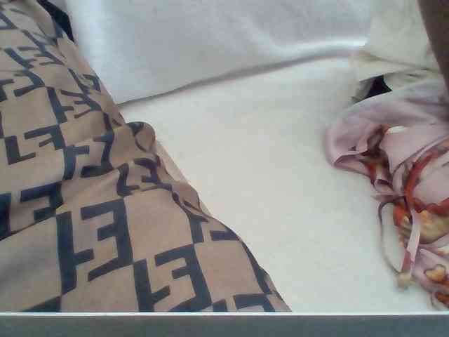 Dollie webcam