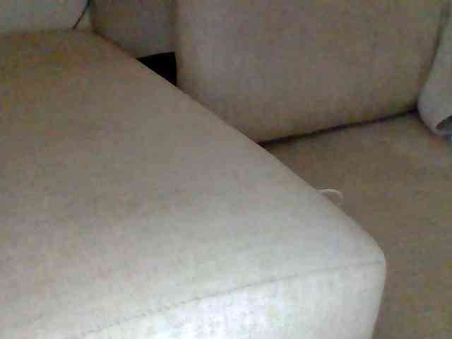 Dollie webcam