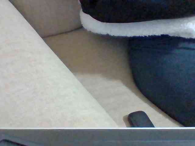 Dollie webcam