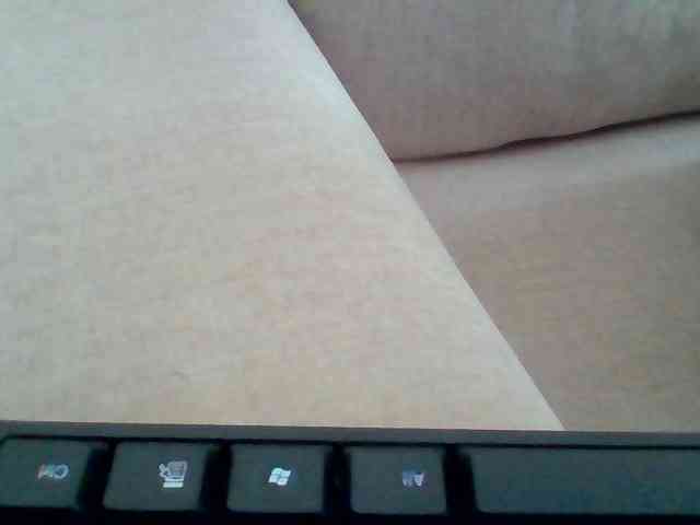 Dollie webcam