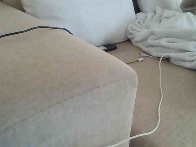Dollie webcam