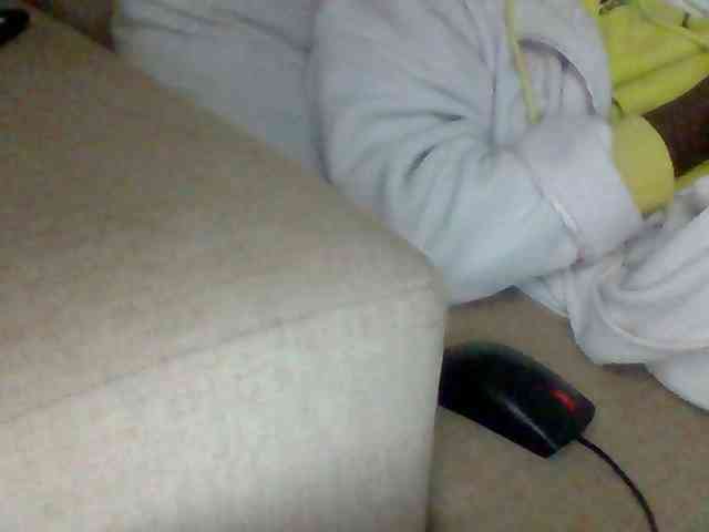 Dollie webcam