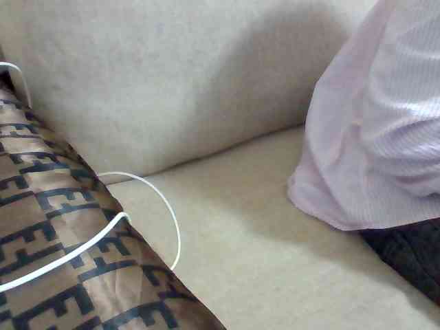 Dollie webcam