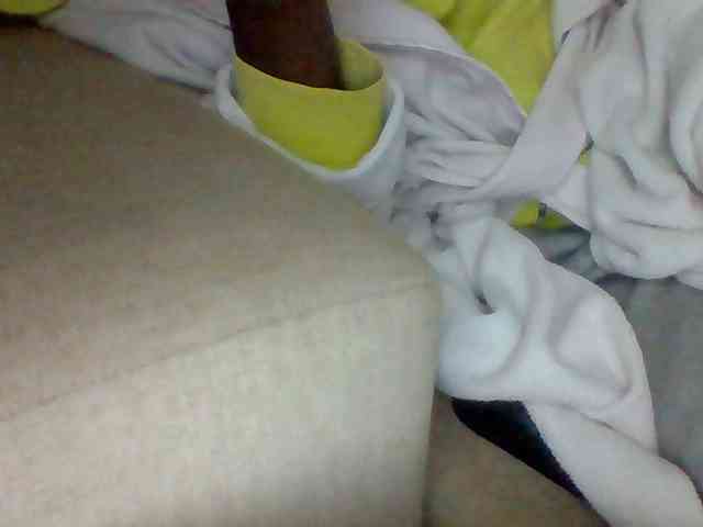Dollie webcam