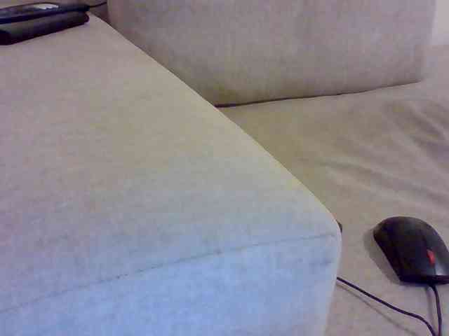 Dollie webcam