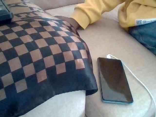 Dollie webcam