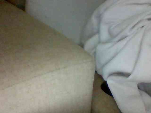 Dollie webcam