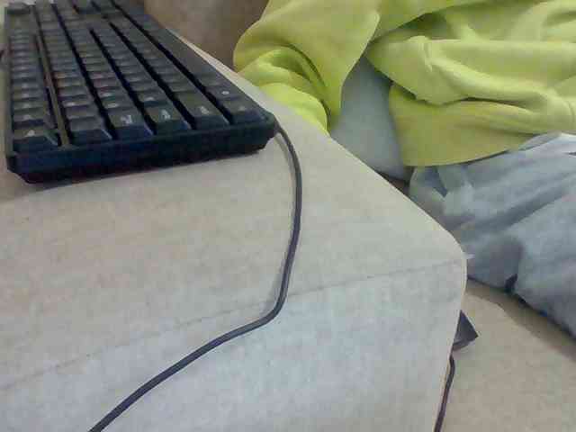Dollie webcam