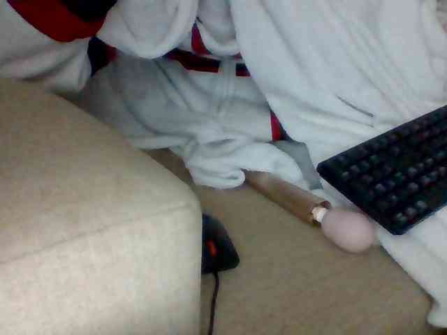 Dollie webcam