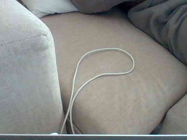 Dollie webcam