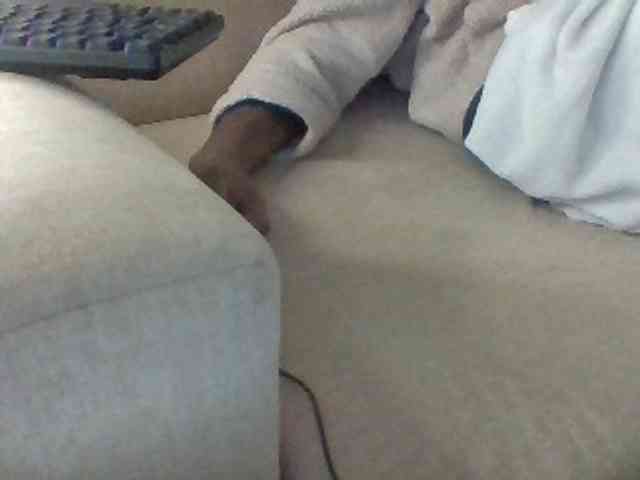 Dollie webcam