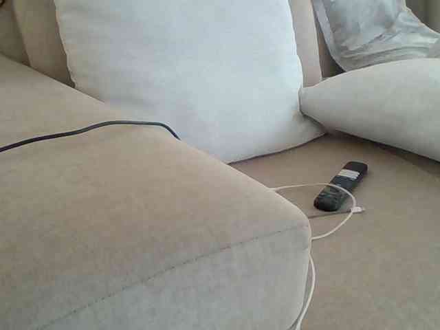 Dollie webcam