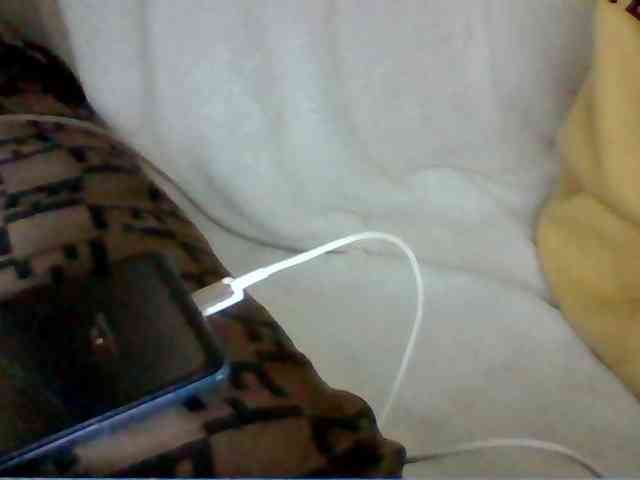 Dollie webcam