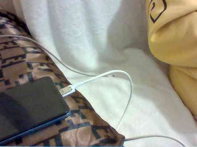 Dollie webcam