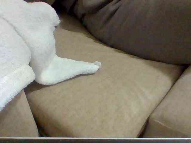 Dollie webcam
