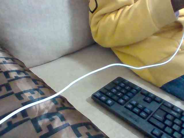 Dollie webcam