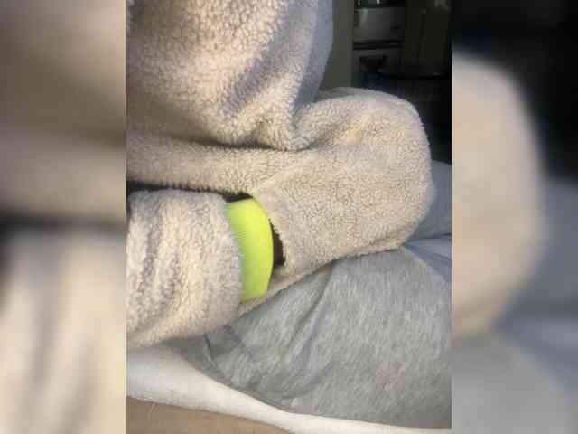 Dollie webcam