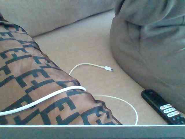 Dollie webcam