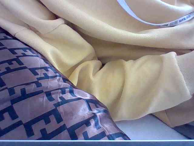 Dollie webcam