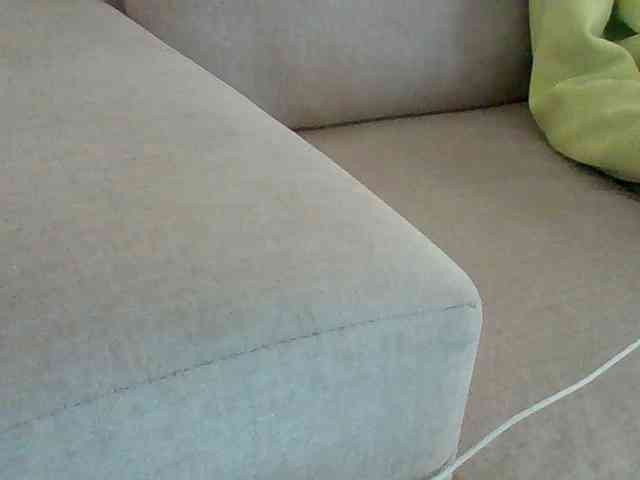 Dollie webcam