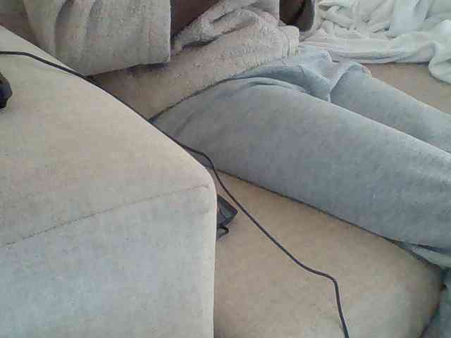 Dollie webcam