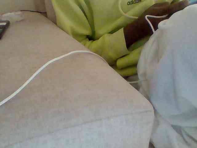 Dollie webcam