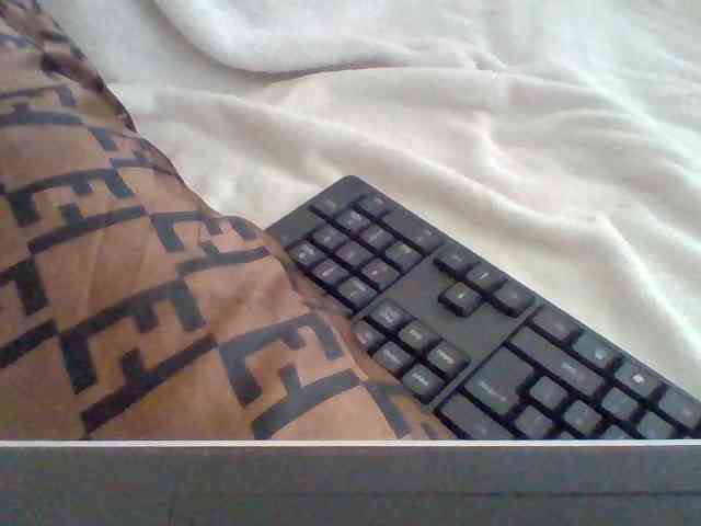 Dollie webcam