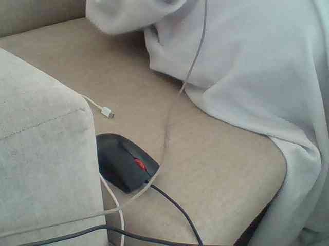 Dollie webcam