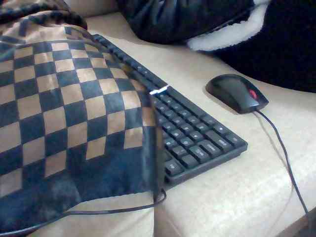 Dollie webcam