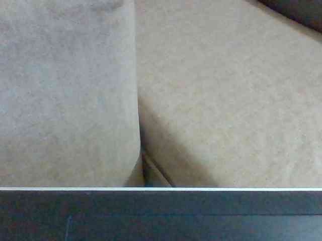Dollie webcam