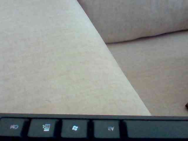 Dollie webcam