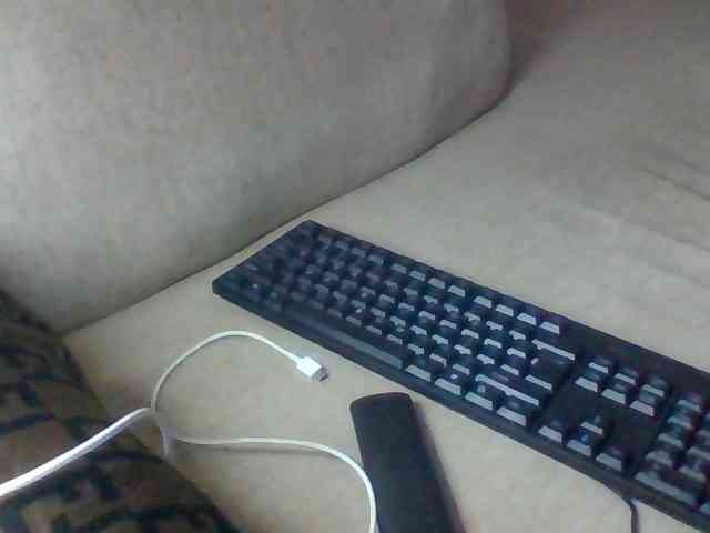 Dollie webcam