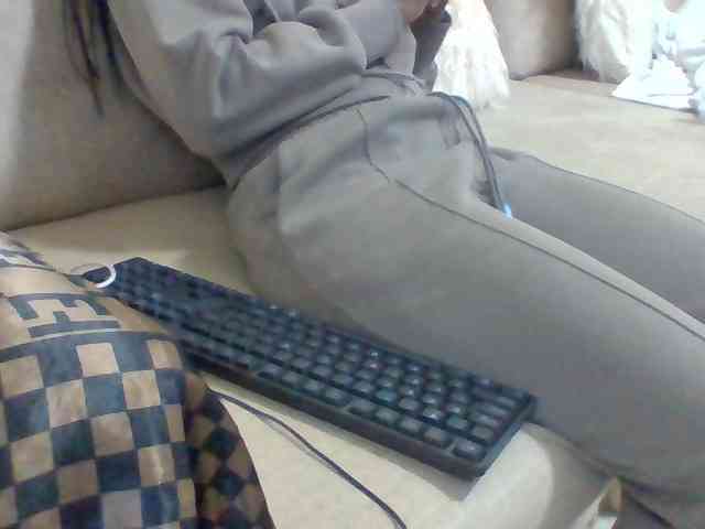 Dollie webcam
